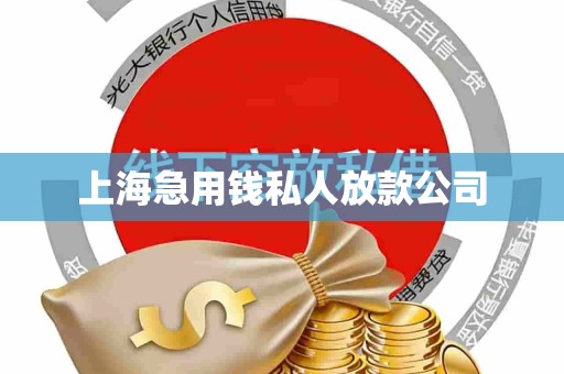 上海急用钱私人放款公司