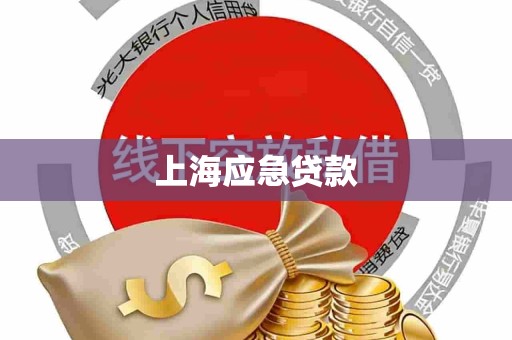 上海应急贷款