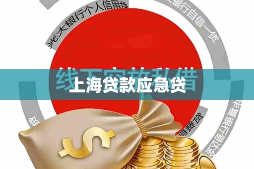 上海贷款应急贷