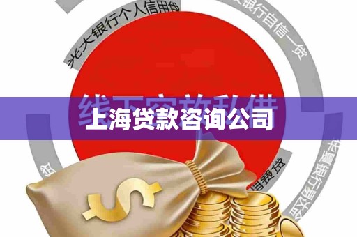 上海贷款咨询公司