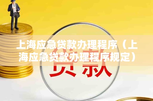 上海应急贷款办理程序（上海应急贷款办理程序规定）
