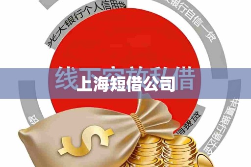 上海短借公司