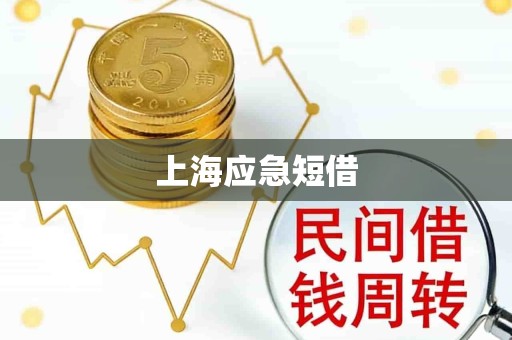 上海应急短借