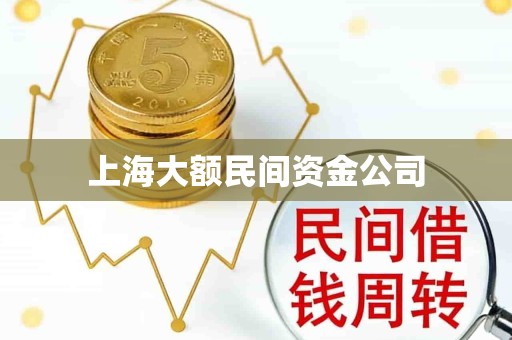 上海大额民间资金公司